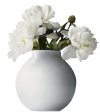 pngimg.com - vase_PNG116